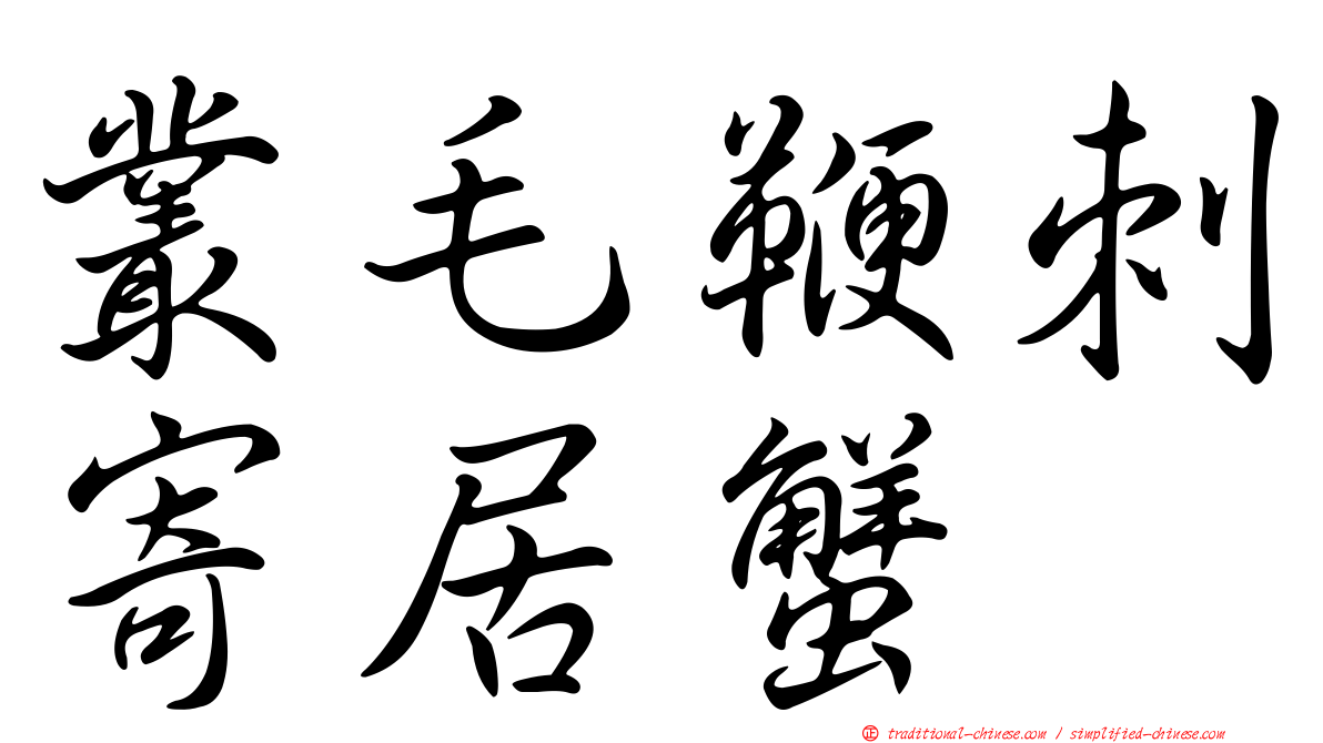 叢毛鞭刺寄居蟹