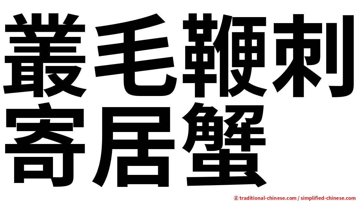 叢毛鞭刺寄居蟹