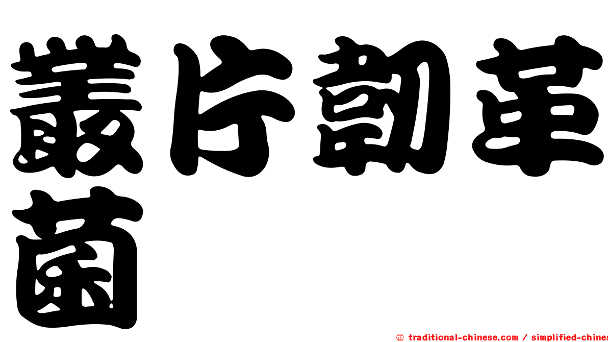 叢片韌革菌