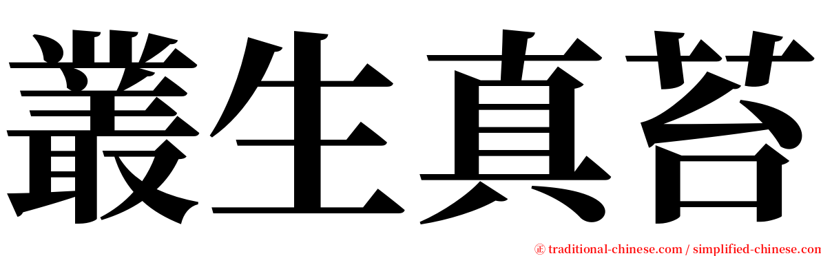 叢生真苔 serif font