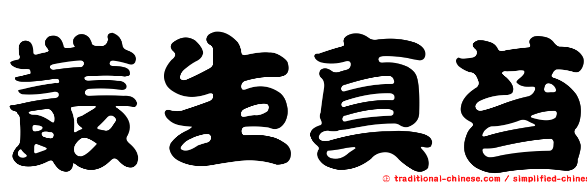 叢生真苔