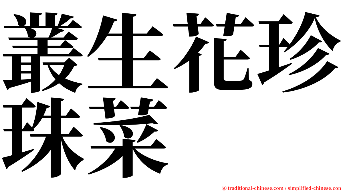 叢生花珍珠菜 serif font