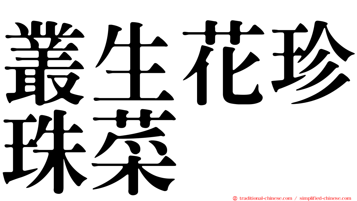 叢生花珍珠菜