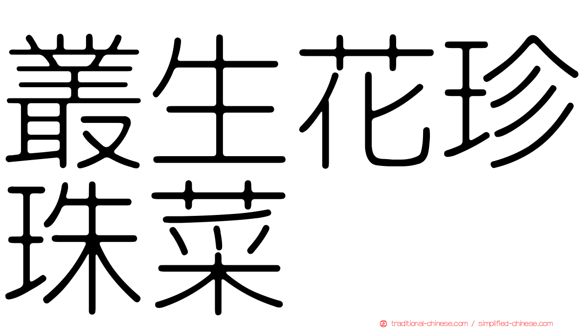 叢生花珍珠菜