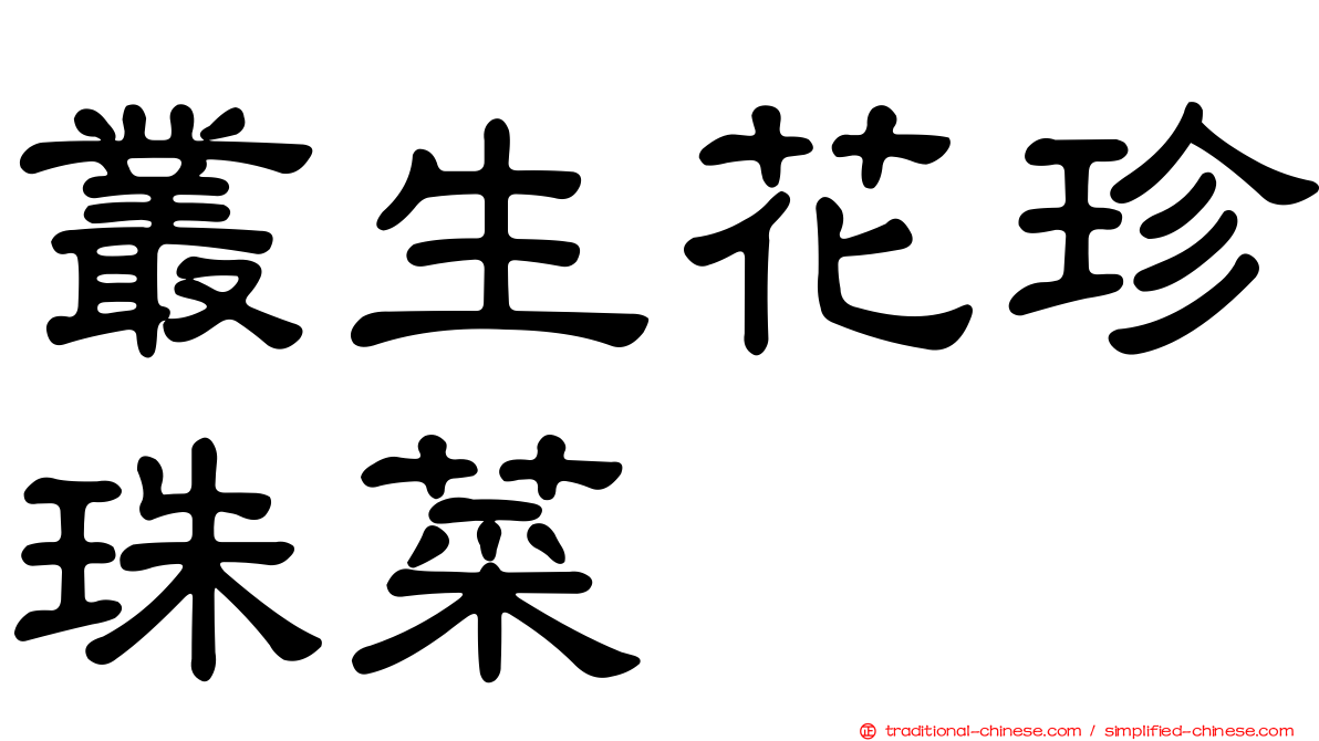 叢生花珍珠菜