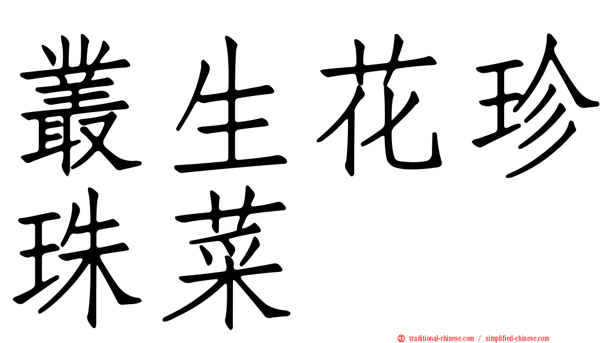 叢生花珍珠菜