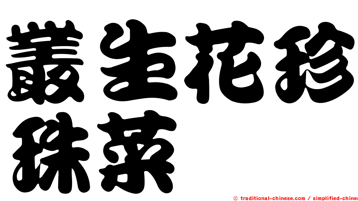叢生花珍珠菜