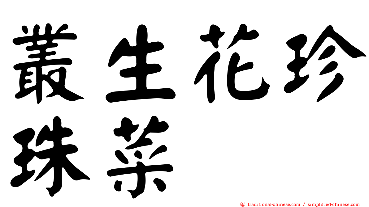 叢生花珍珠菜
