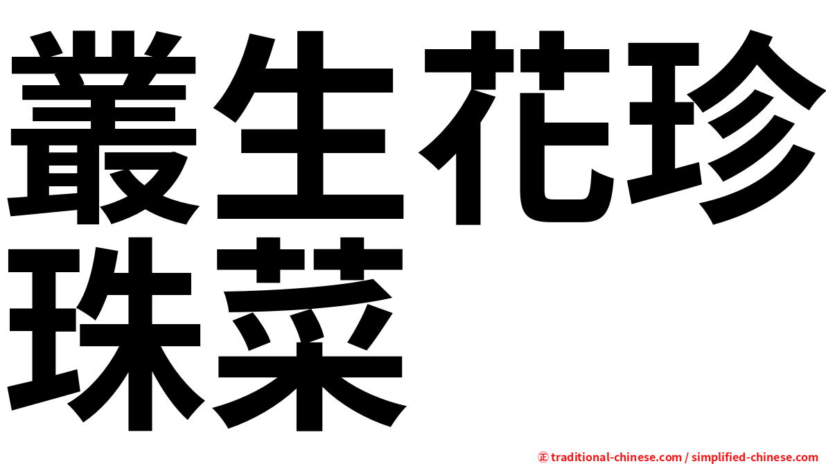 叢生花珍珠菜