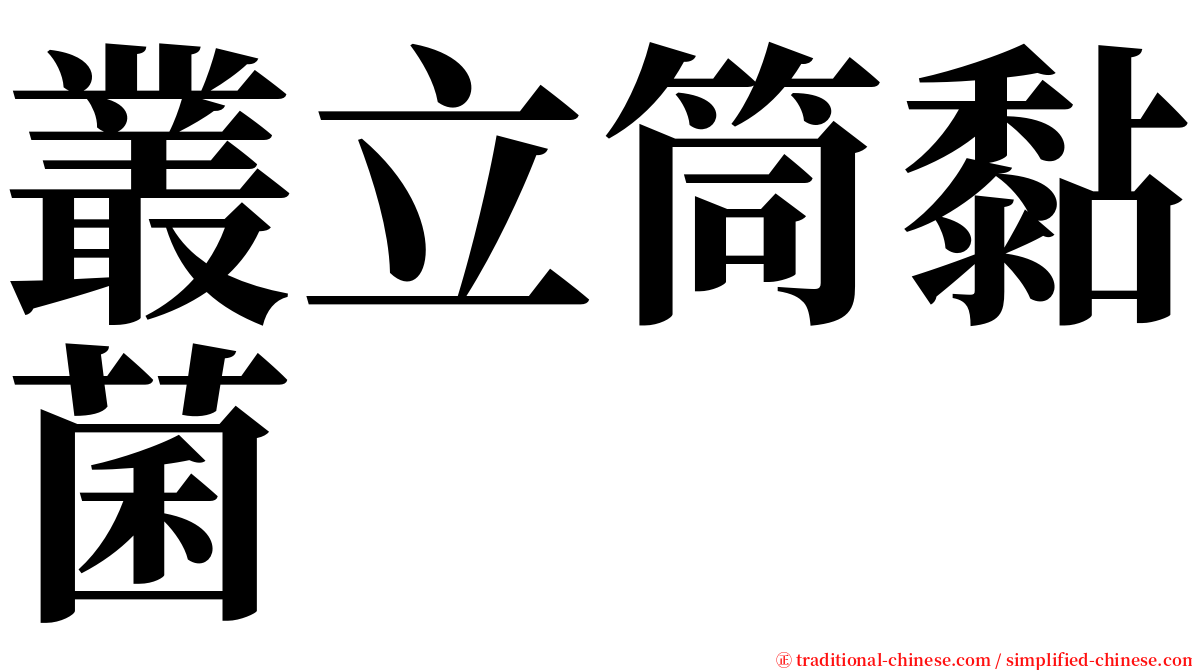 叢立筒黏菌 serif font