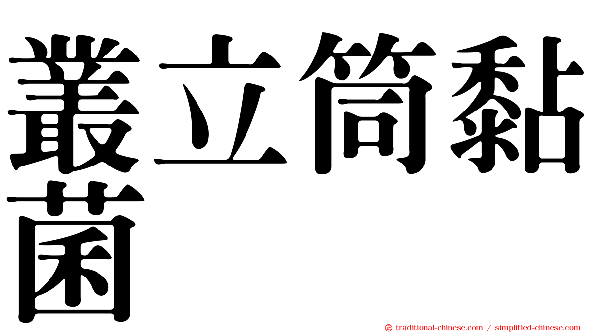 叢立筒黏菌
