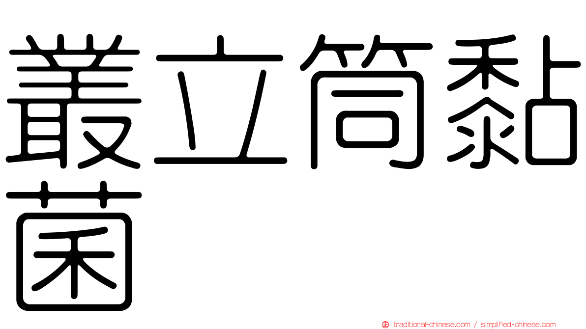 叢立筒黏菌