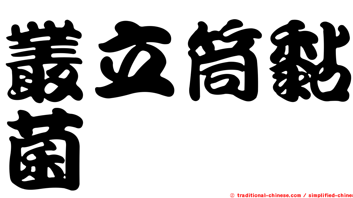 叢立筒黏菌