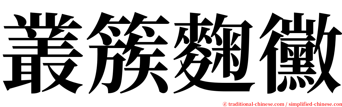 叢簇麴黴 serif font