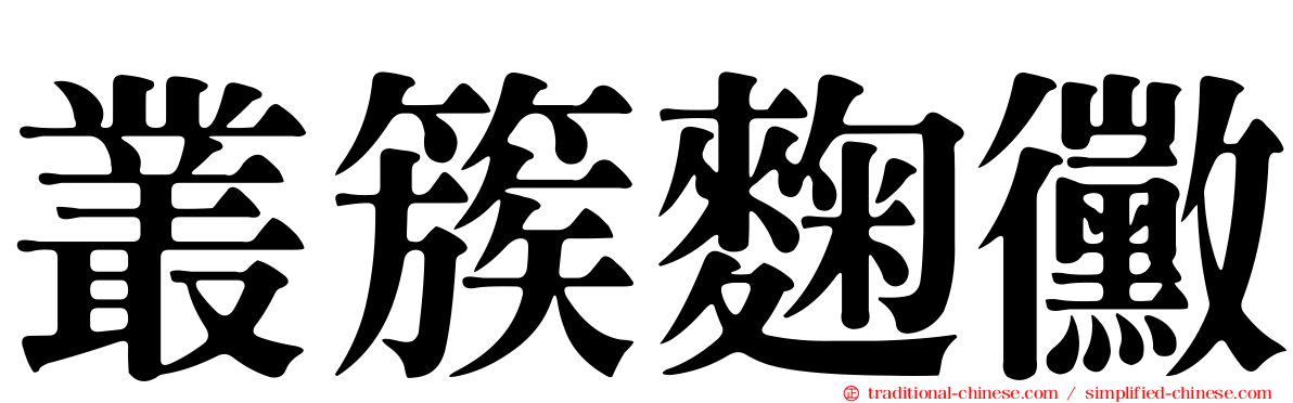 叢簇麴黴