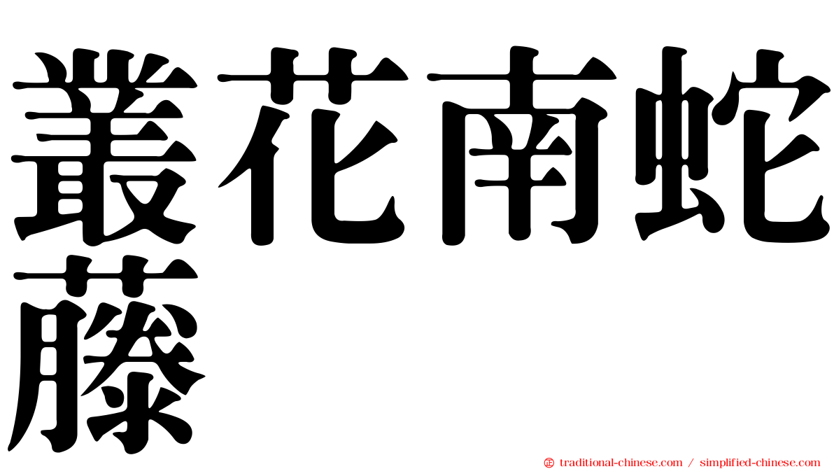 叢花南蛇藤