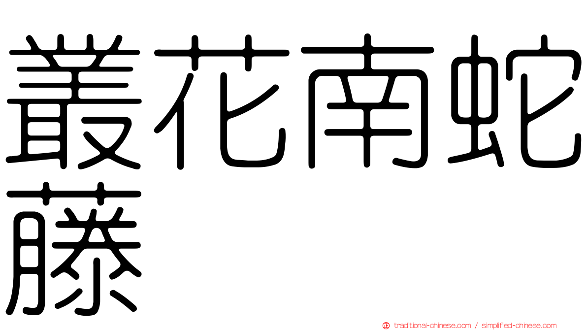 叢花南蛇藤