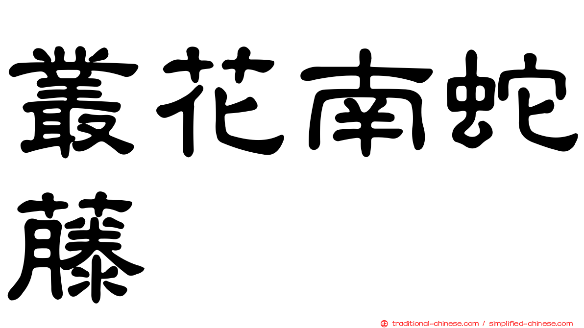叢花南蛇藤