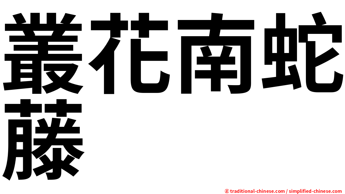叢花南蛇藤