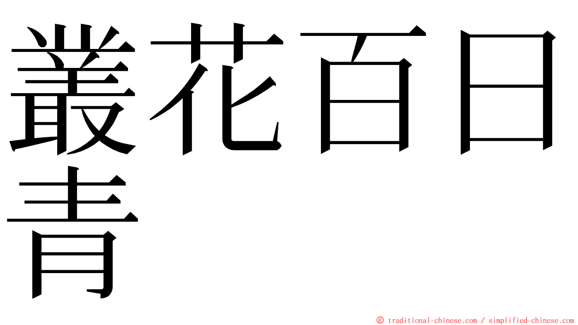 叢花百日青 ming font