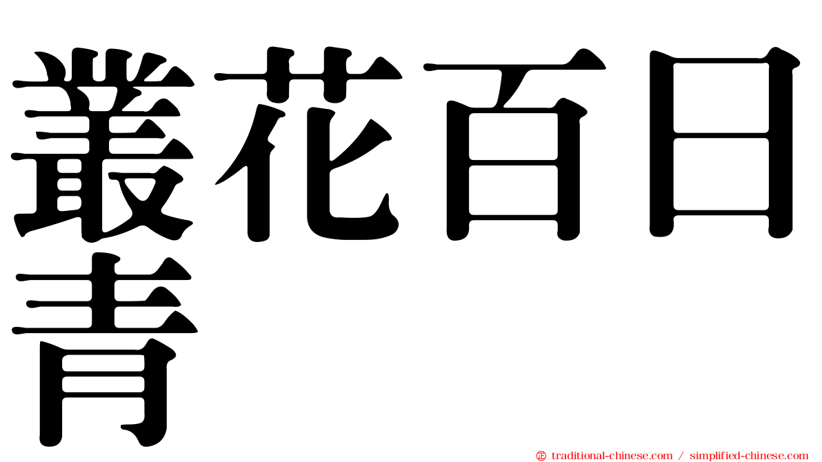 叢花百日青