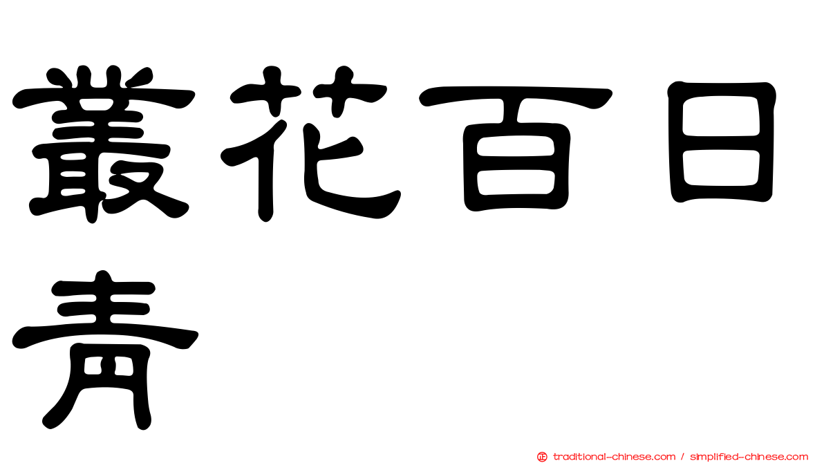叢花百日青