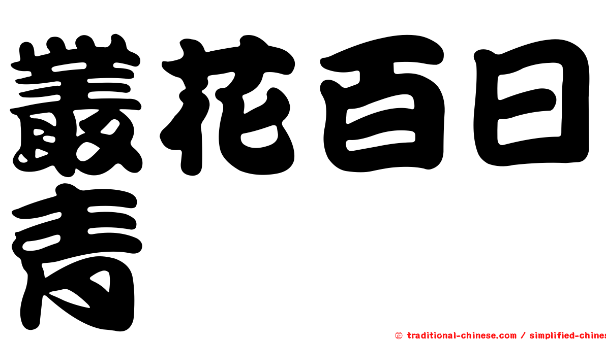 叢花百日青