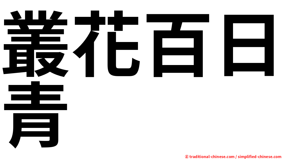 叢花百日青