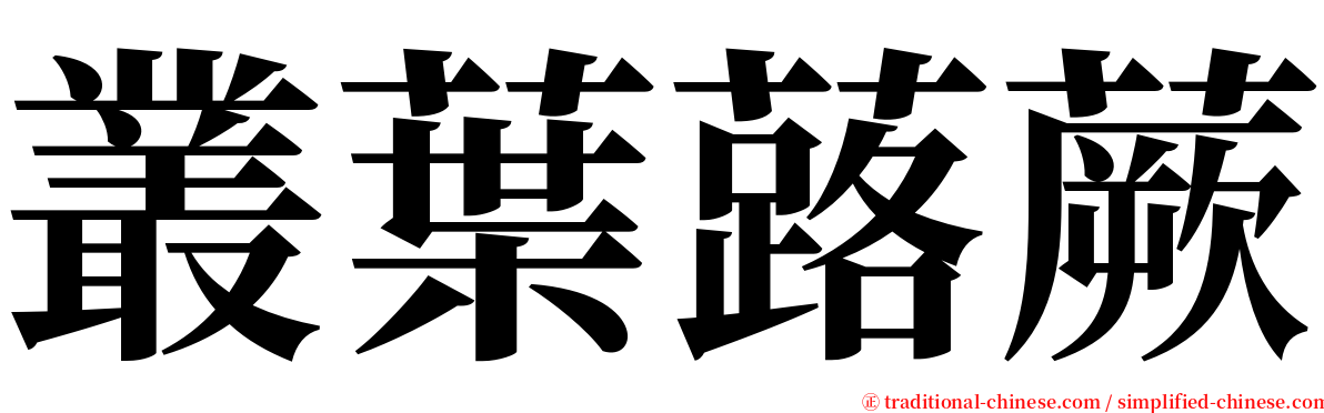 叢葉蕗蕨 serif font