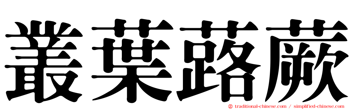 叢葉蕗蕨