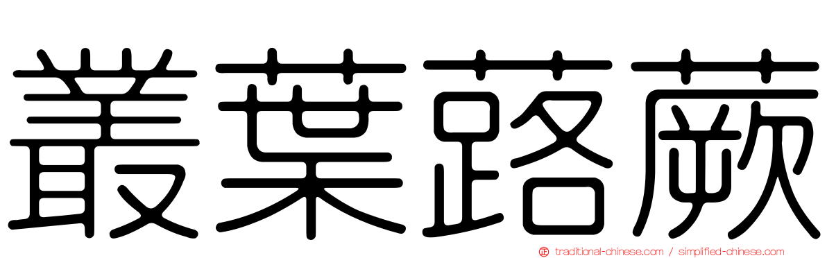 叢葉蕗蕨