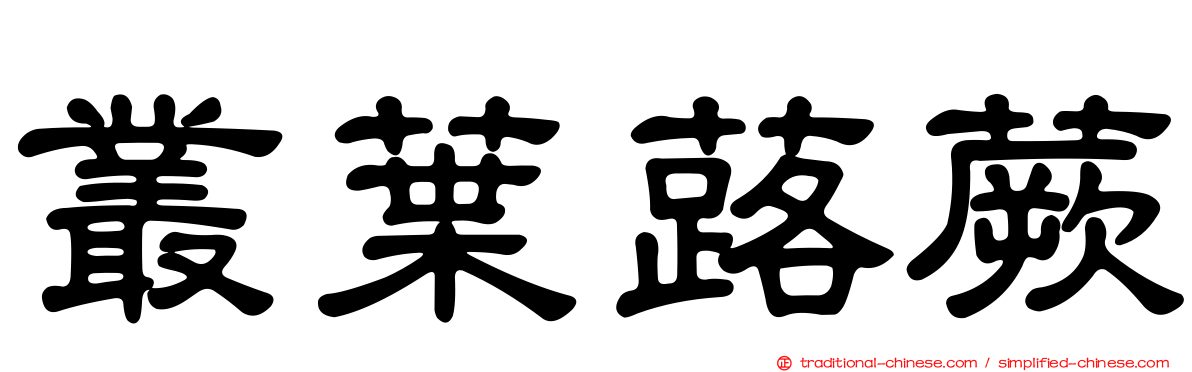 叢葉蕗蕨