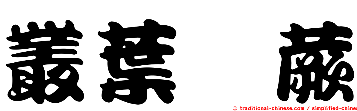 叢葉蕗蕨