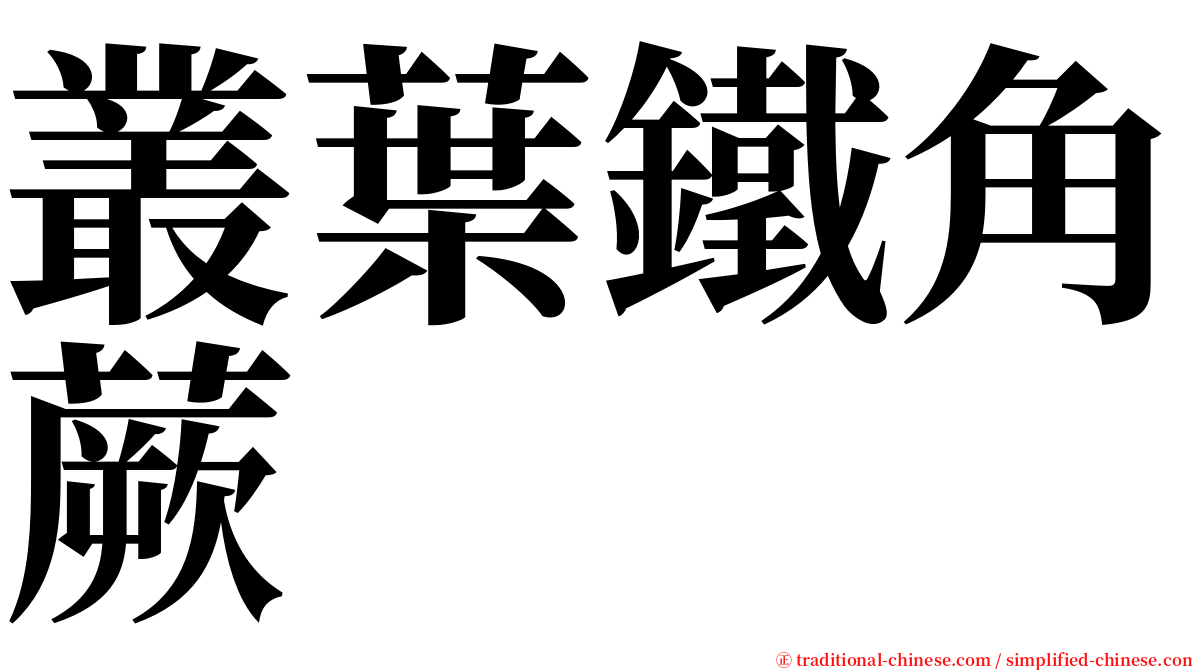 叢葉鐵角蕨 serif font