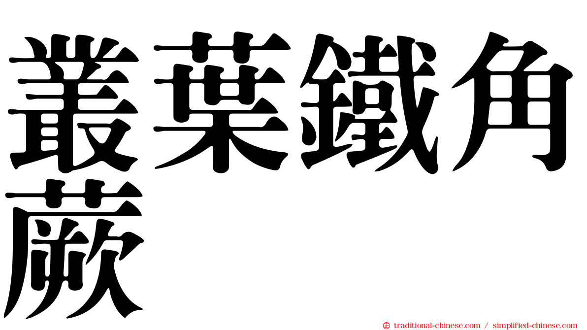 叢葉鐵角蕨
