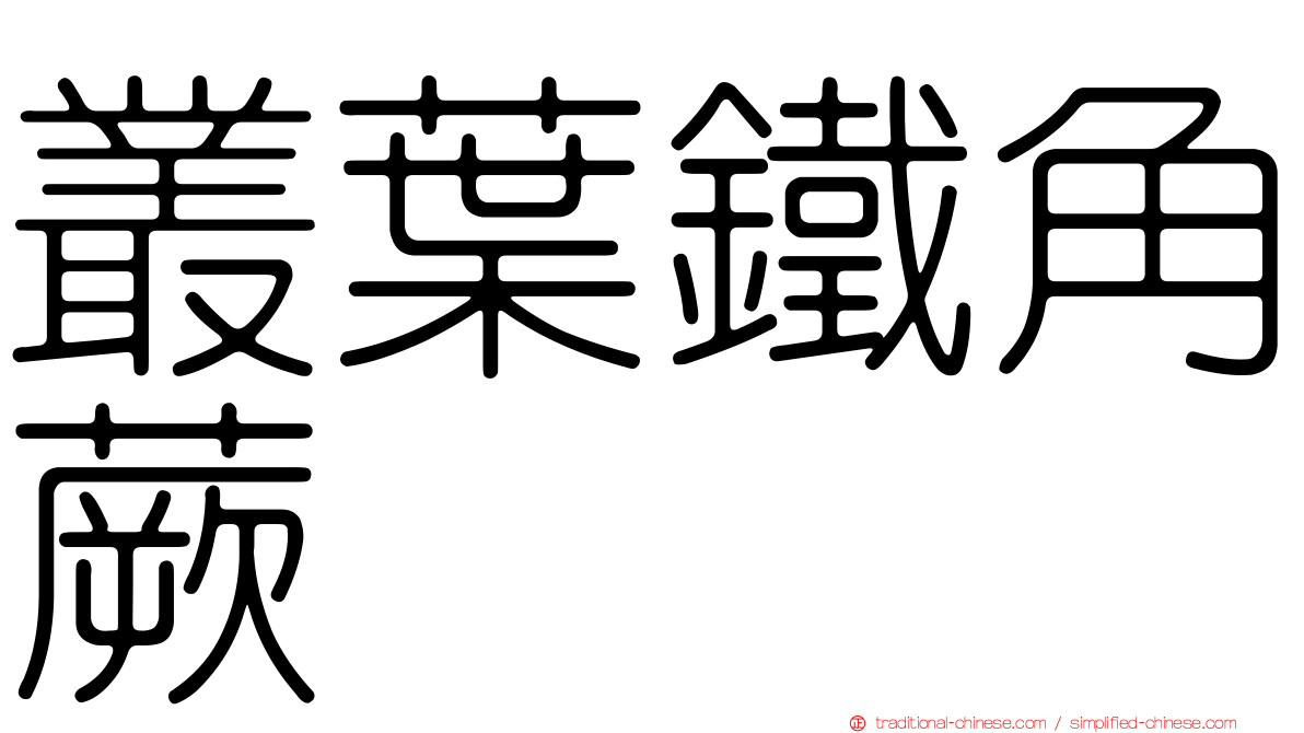 叢葉鐵角蕨