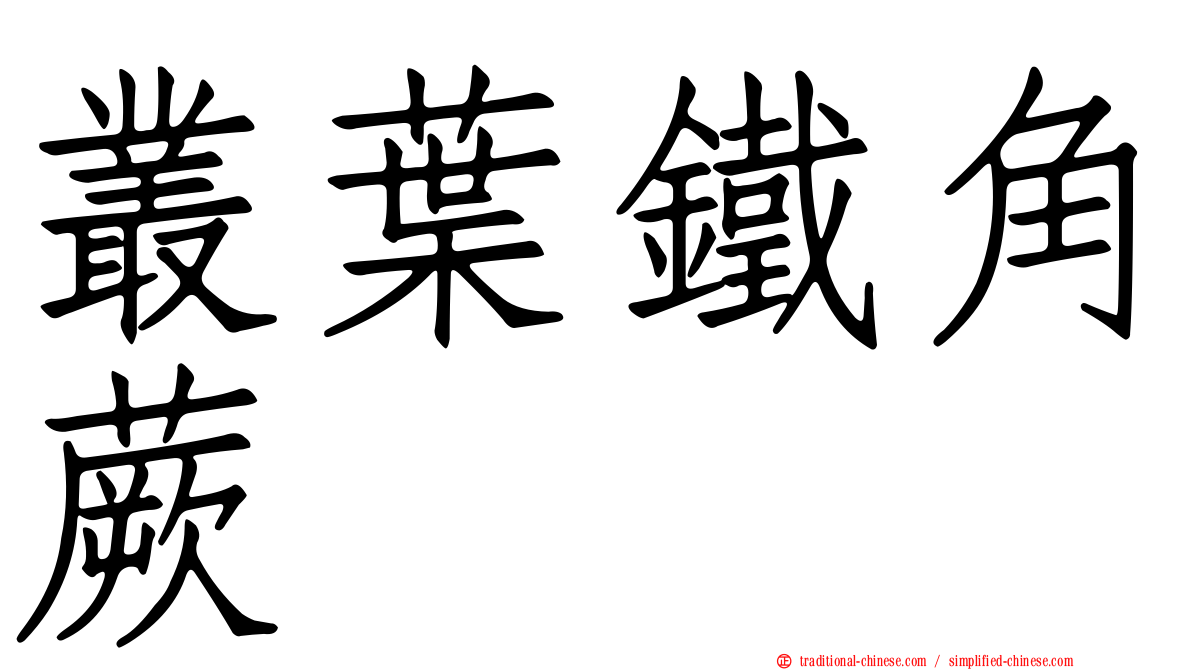叢葉鐵角蕨