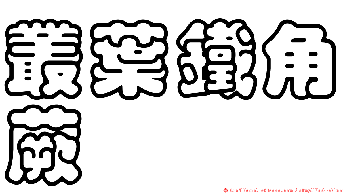 叢葉鐵角蕨