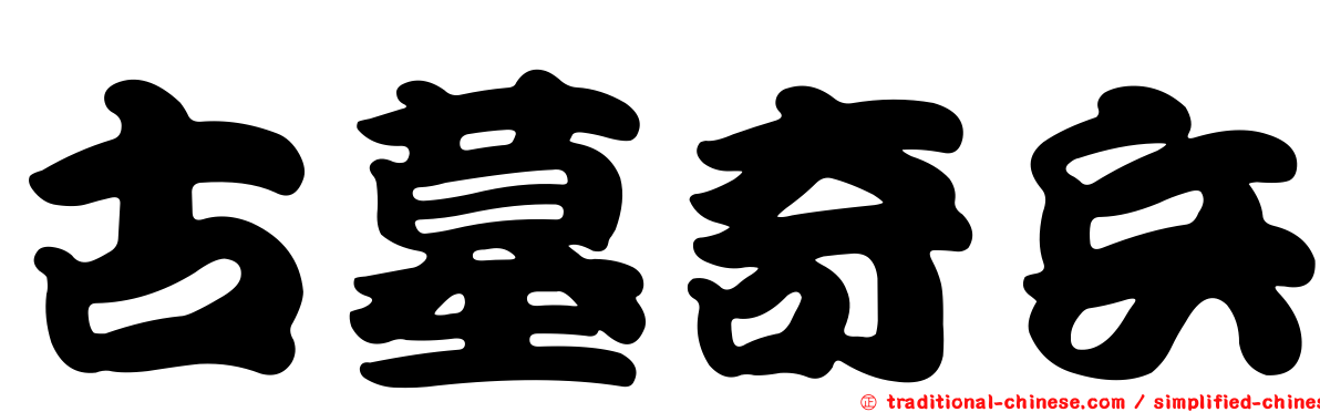 古墓奇兵
