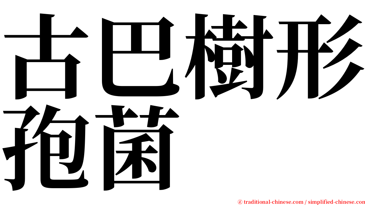 古巴樹形孢菌 serif font