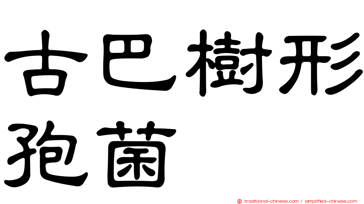 古巴樹形孢菌