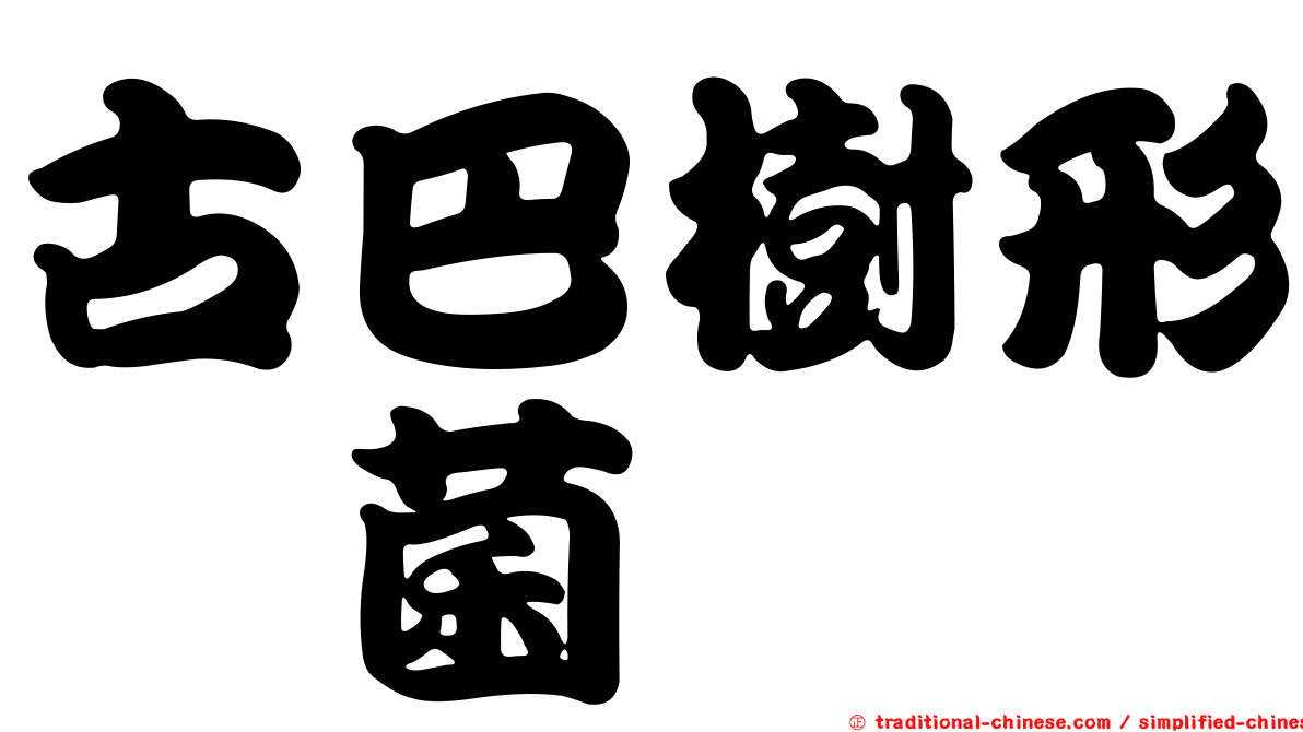 古巴樹形孢菌