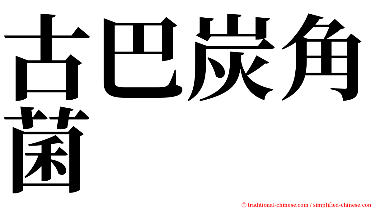 古巴炭角菌 serif font