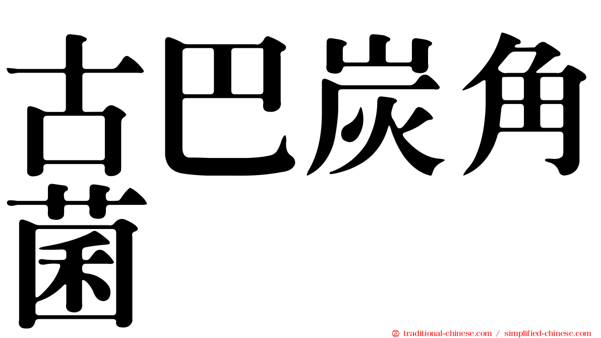 古巴炭角菌
