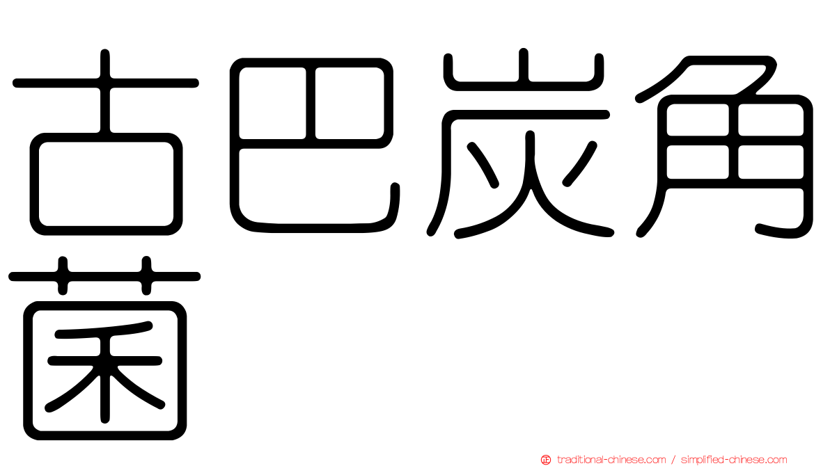 古巴炭角菌