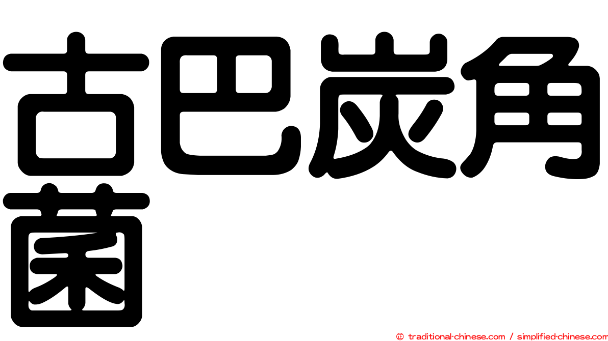 古巴炭角菌