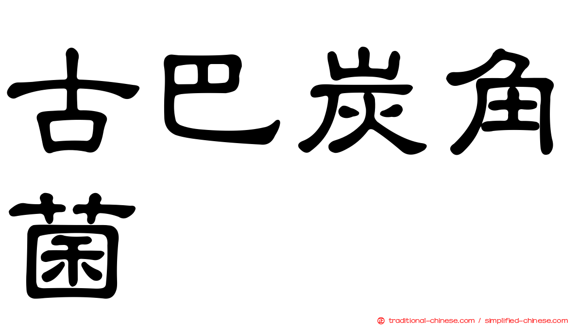 古巴炭角菌