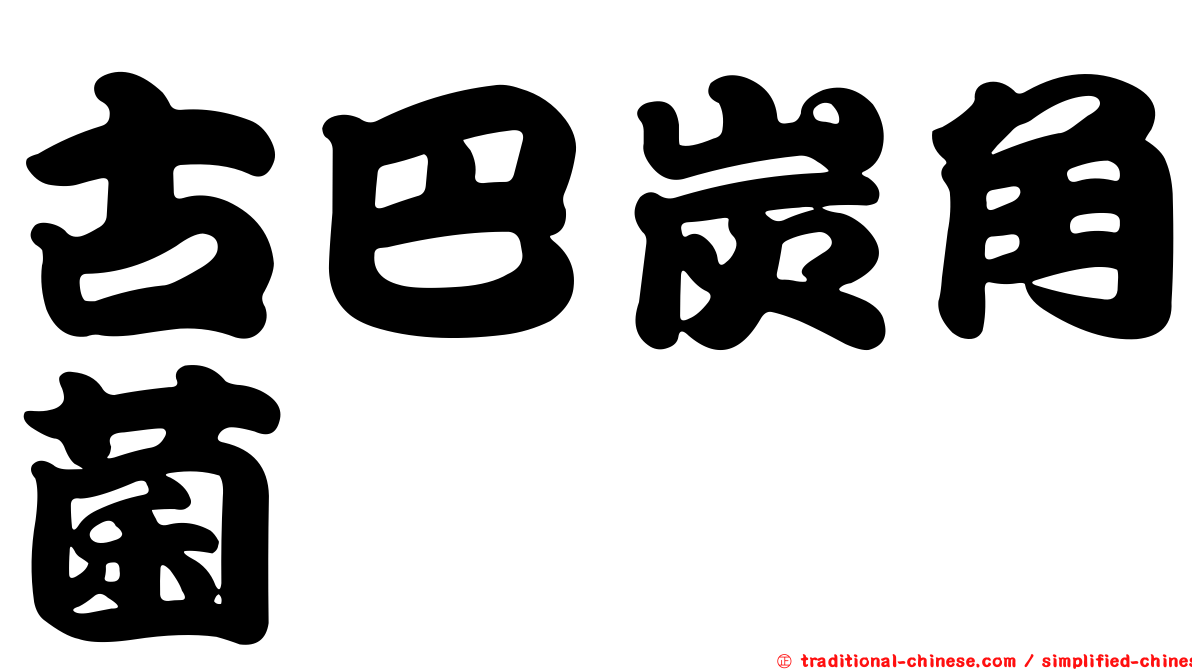 古巴炭角菌