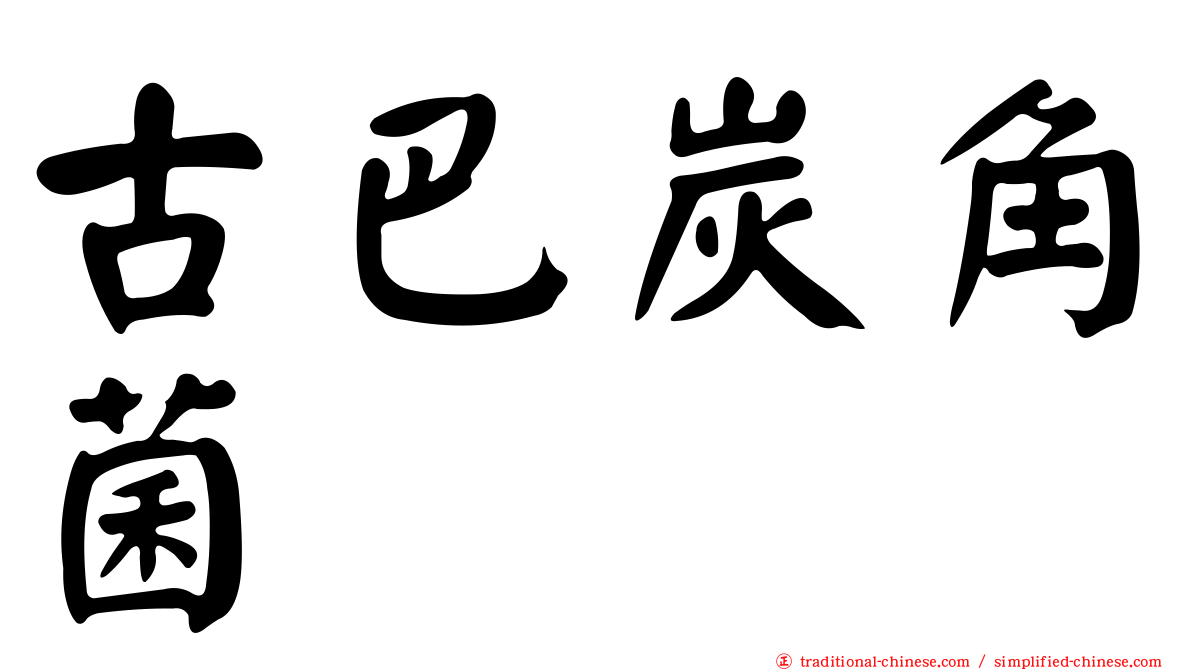 古巴炭角菌