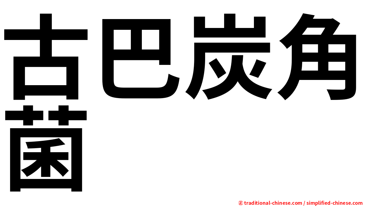 古巴炭角菌